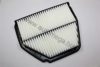 AUTOMEGA 1048070917 Air Filter